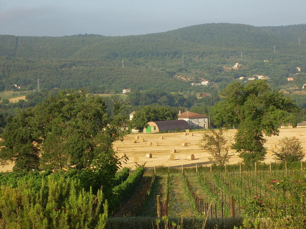 Agriturismo Regno Verde Narni Bagian luar foto