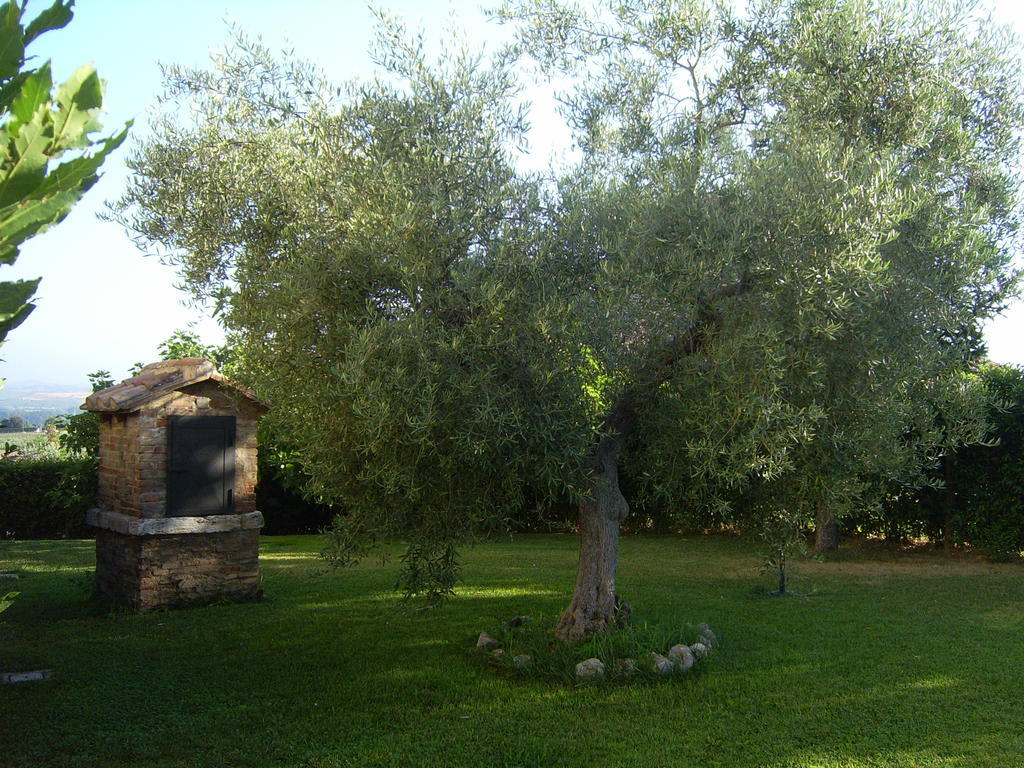 Agriturismo Regno Verde Narni Bagian luar foto
