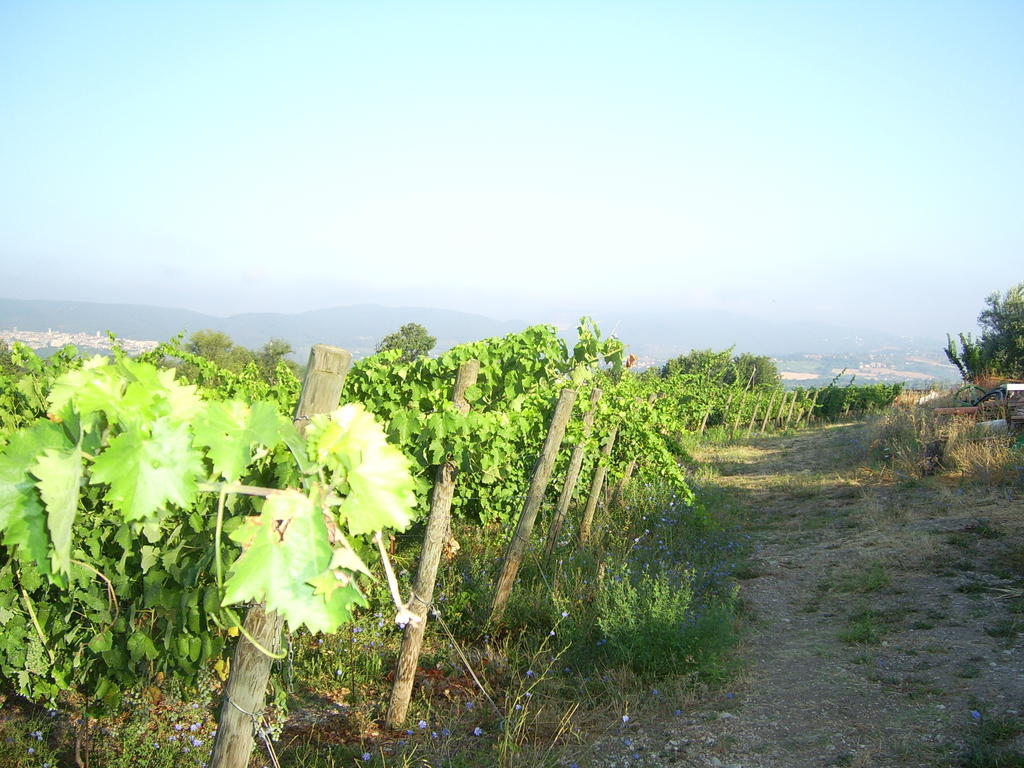 Agriturismo Regno Verde Narni Bagian luar foto