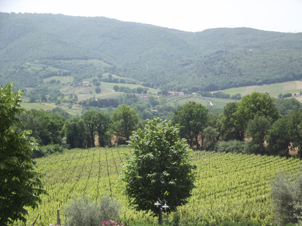 Agriturismo Regno Verde Narni Bagian luar foto